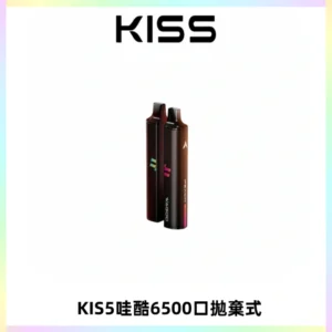 KIS5WAGOO哇酷6500口拋棄式 | 自由混搭雙口味 | 雙芯組合