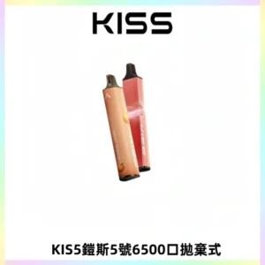 KIS5鎧斯5號一次性6500口磁吸式拋棄式電子煙#自由混搭#